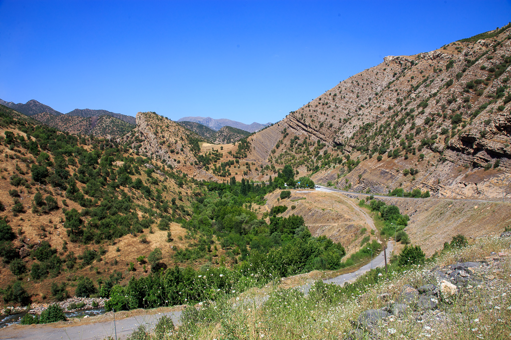 Cizre